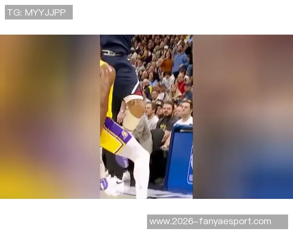 斯玛特调侃热火替补席遭裁判技术犯规引发热议