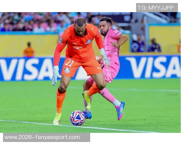 帕尔梅拉斯关注布莱顿后卫伊戈尔现正外租于西汉姆 帕尔梅拉斯关注布莱顿后卫伊戈尔现正外租于西汉姆